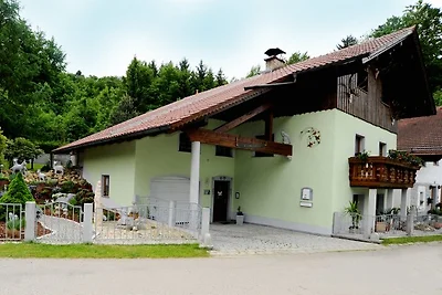 Fe-Wo Niggl nella foresta bavarese