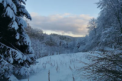 Taunusblick Meißner