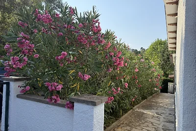 casa mari  HUT  007731  10