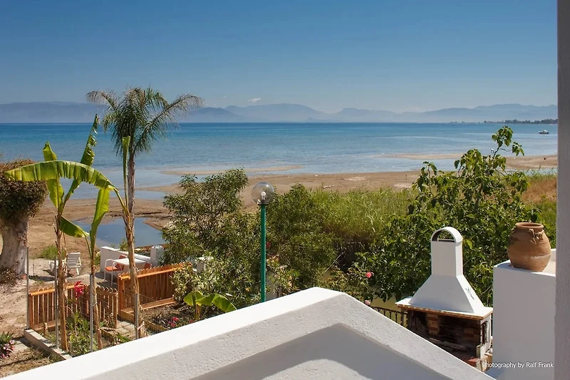 Direkter Meerblick mit Palmen, Balkon und bequemen Outdoor-Möbeln.