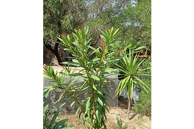 PhiloXENIA