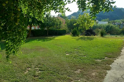 Studio Apartments Euthimia