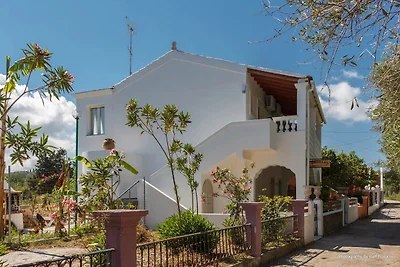 Panorama Beach House in Perivoli- Korfu mit Meerblick nur 20 Meter vom Strand