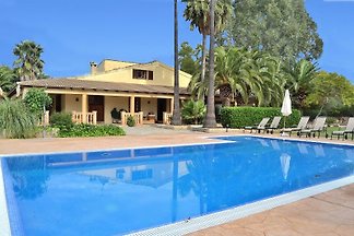 060 Llubi Finca