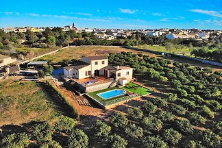 Els Tarongers Muro finca 081
