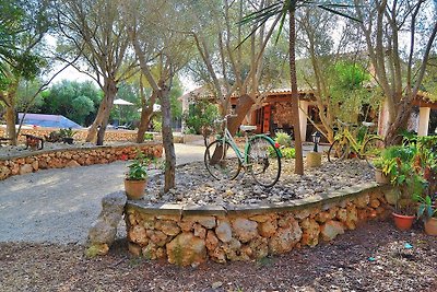 Finca Sa Rota de Son Ramon 132 by M