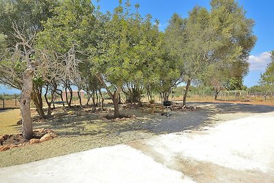 Finca Santa Eugenia 508 by Mallorca