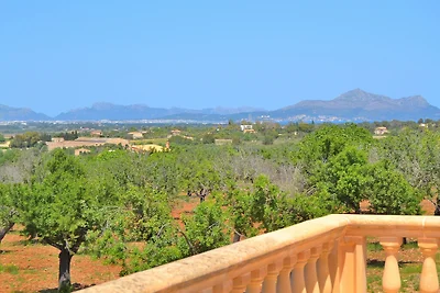 Son Morro Santa Margalida finca 230