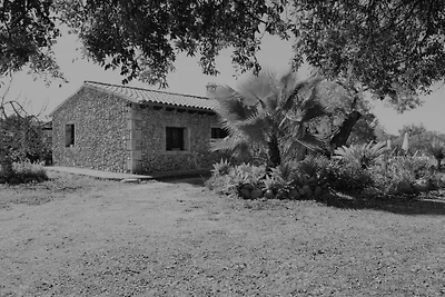Finca Sa Figuera Blanca 115 by Mall