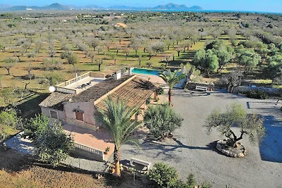 Son Morro Santa Margalida finca 230