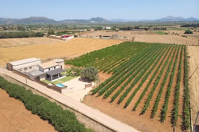 277 Son Sant Joan ETV/13014 by Mallorca...