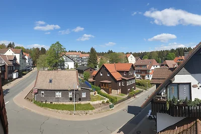 Vista sull'Harz