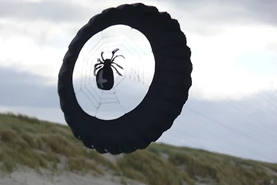 Paal 66 max 6 pers, eingezäunt