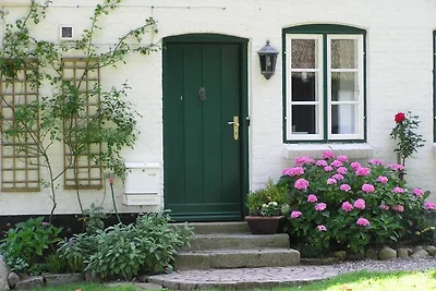 Det gule Hus (****)
