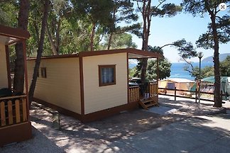 Domek letniskowy Urlop wypoczynkowy Capoliveri