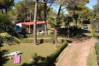 Feriendorf Pino Mare - Mobilehome Acquamarina...