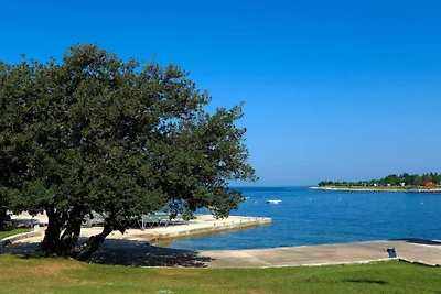 Kuća za odmor Dopust za oporavak Karigador