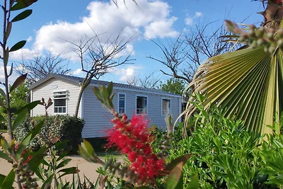Feriendorf Els Pins Mobilehome Premium 2AC