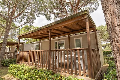 Ferienpark Marina Camping Village Lodge...