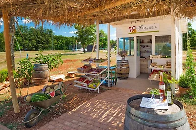 Kuća za odmor Dopust za oporavak Karigador