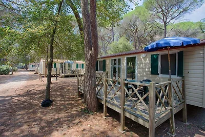 Feriendorf Marze Lodge Maremma