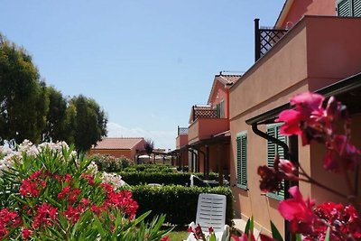 Domek letniskowy Urlop wypoczynkowy Cecina