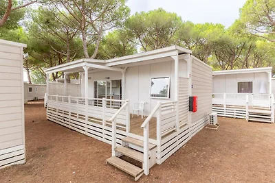 Feriendorf Orbetello Lodge Superior Family