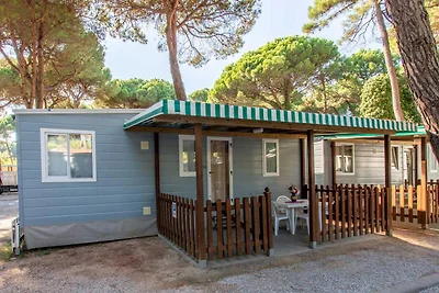 Rivaverde Family Camping Village Lodge...