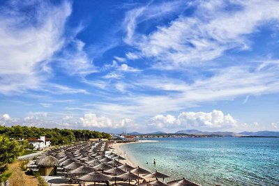 Ferienpark Amadria Park Sibenik - Villa Kornati 3+2 (2875)