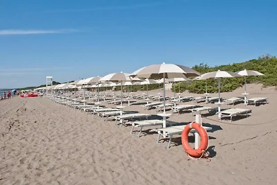 Feriendorf Orbetello Chalet Comfort PET