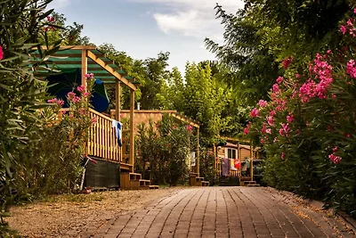 Vakantiehuis Ontspannende vakantie Figline Valdarno