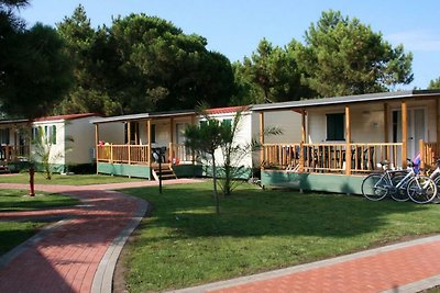 Rosolina M. Club Mobilehome 6