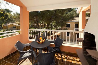 Ferienanlage Amfora - Wohnung Amfora Classic CA3BP2 AGPLA (2455)