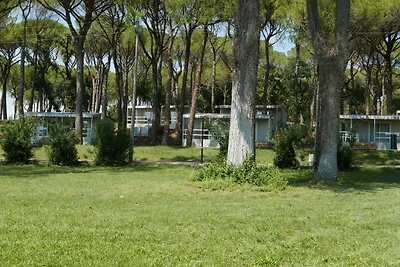 Ferienpark Butterfly Mobilehome Boheme Deluxe