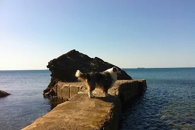Casa vacanze Vacanza di relax Livorno e dintorni