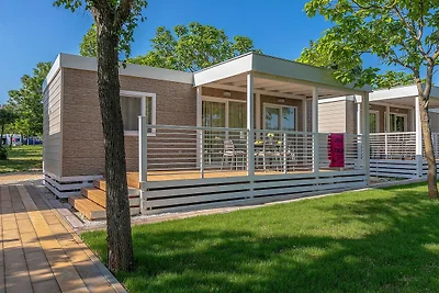 Ferienanlage Bi Village Lodge Premium