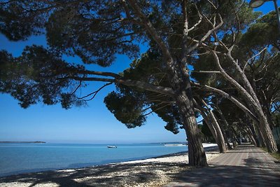 Vakantiehuis Ontspannende vakantie Valbandon