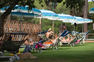 Feriendorf Marze - Lodge Comfort Rocchette AGGIT (2652)