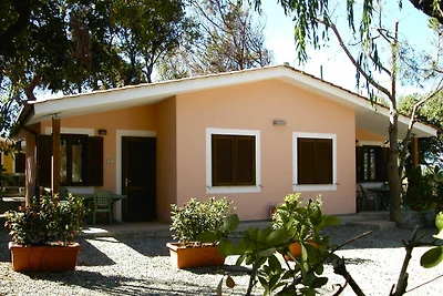 Casa vacanze Vacanza di relax Livorno e dintorni