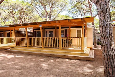 Feriendorf Orbetello Lodge Comfort