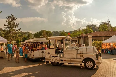 Vakantiehuis Ontspannende vakantie Figline Valdarno