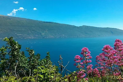Residenz La Rotonda Zweizimmer-Wohnung Bilo