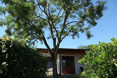 Feriendorf San Giorgio Ferienhaus Tipo1-V