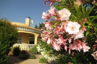 Casa Salida del Sol  Vinaros