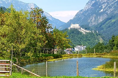 Vakantieappartement Gezinsvakantie Werfen