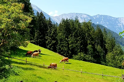 Haus Lienbacher