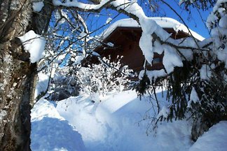 Appartamento in Kleinarl