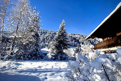 Vakantieappartement Gezinsvakantie Kleinarl