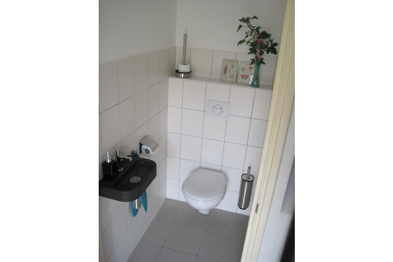 Saubere Sanitäranlagen. Toilette mit Waschbecken. Separates Badezimmer mit (begehbarer) Dusche und separatem Waschbecken