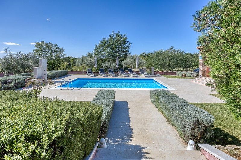 Schwimmbad mit grüner Umgebung und Blick auf den Pool.